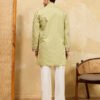 376_4 Light Green Festive Wear Embroidered Kurta Set For Mens