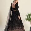 Luxurious Black Velvet Lehenga