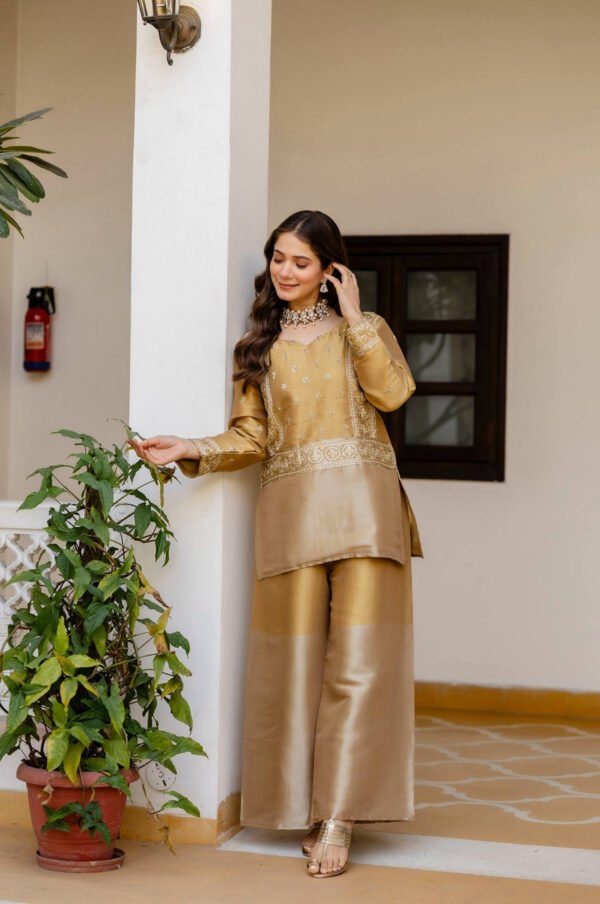 RR-42GOLD_6.jpg Banarasi Viscose Co-Ord Set – Elegant Ethnic Fusion