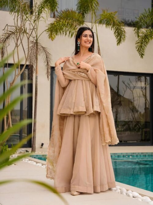 Tabby Organza Mukesh Work Kurta Suit